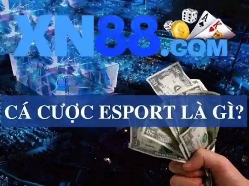 💎nhà cái châu💎 💎nhà cái châu💎