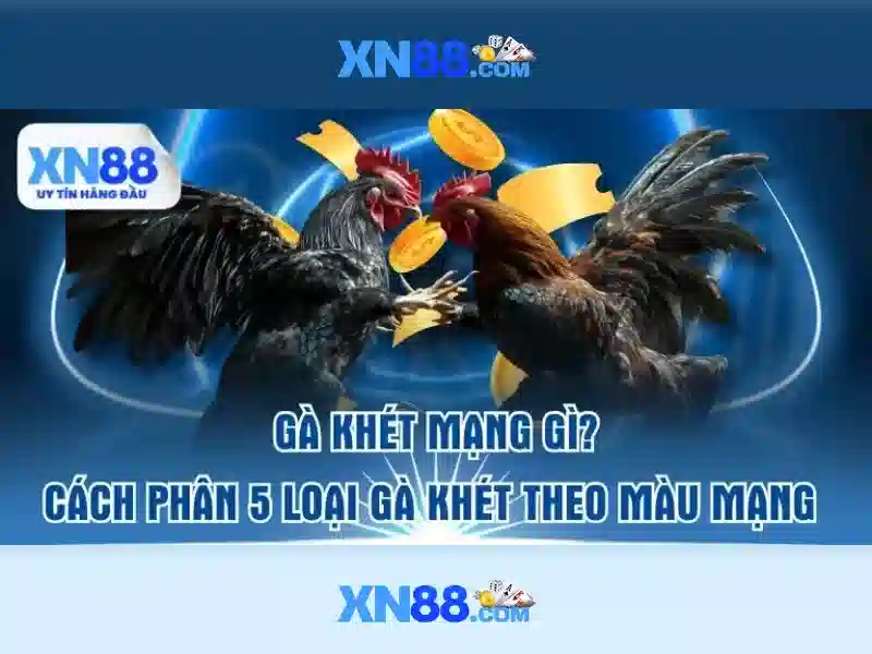 game slot mới nhất - xn88 game slot mới nhất - xn88