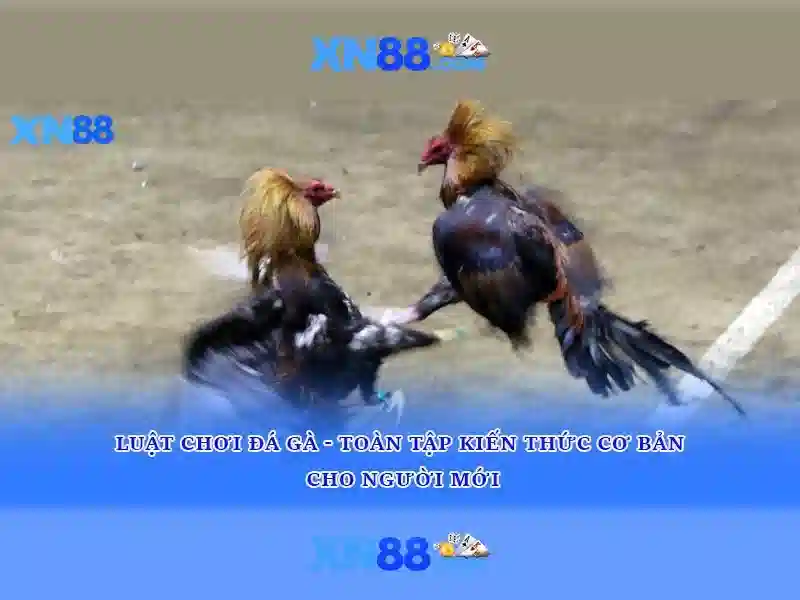 💎tỉ lệ cá cược bóng đá💎 💎tỉ lệ cá cược bóng đá💎