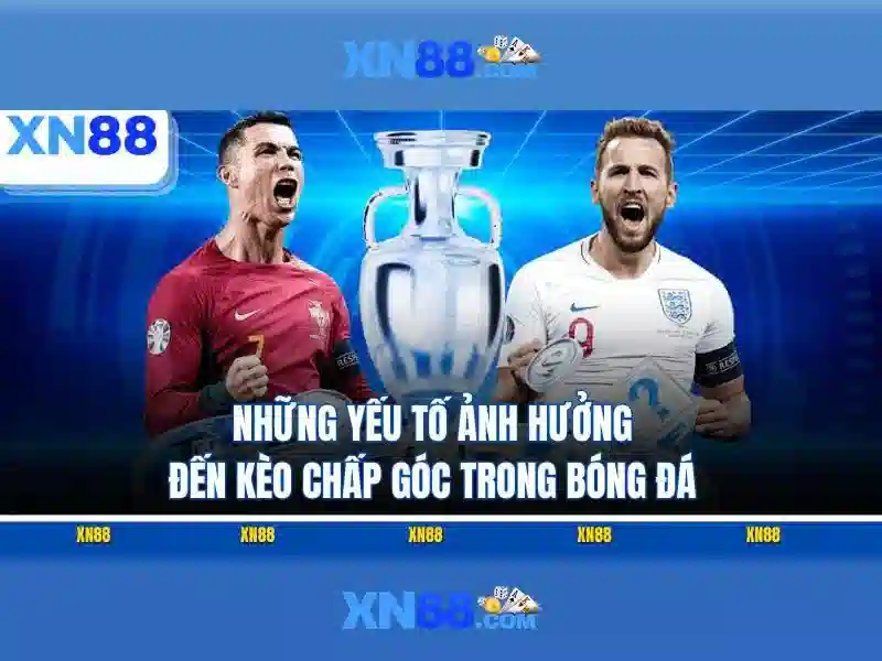 điều khoản XN88 - xn88 điều khoản XN88 - xn88