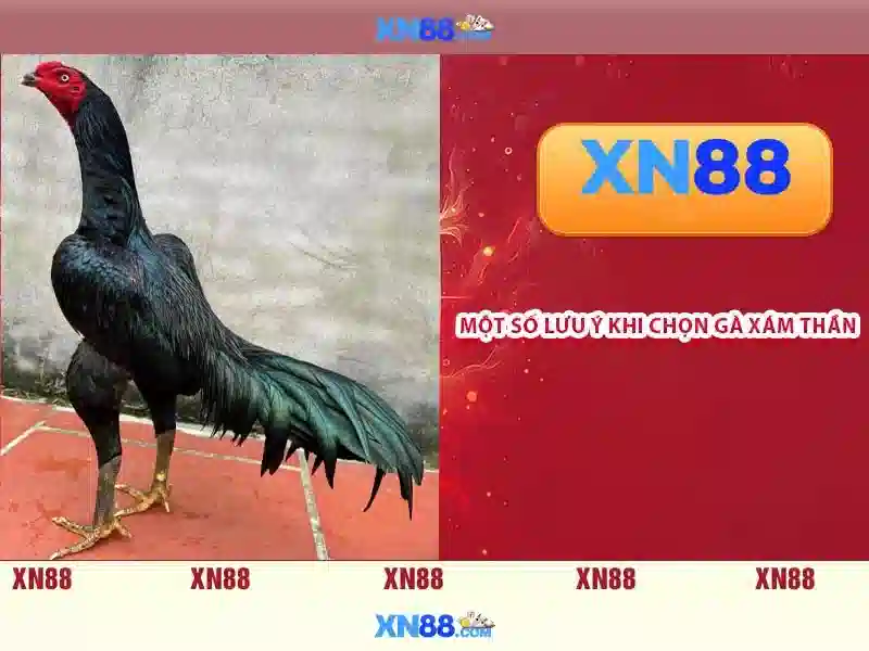 💎777 slot 888slot💎 💎777 slot 888slot💎