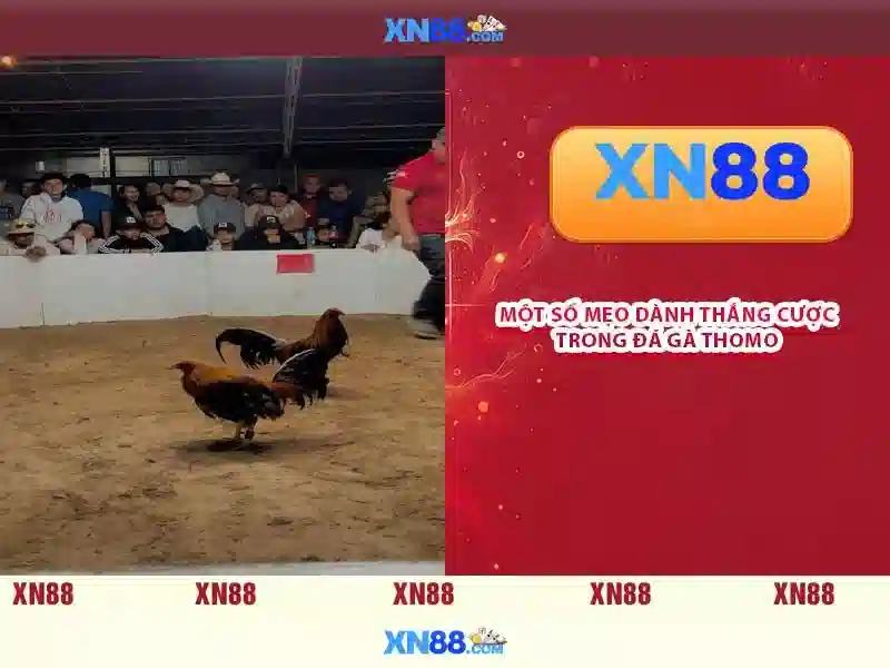 💎xn88 try out free💎 💎xn88 try out free💎