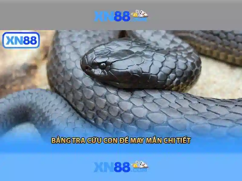 💎nha khoa phương anh lào cai💎 💎nha khoa phương anh lào cai💎