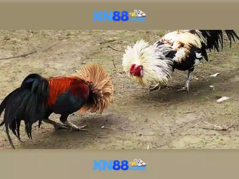 💎888 slot 200💎 💎888 slot 200💎