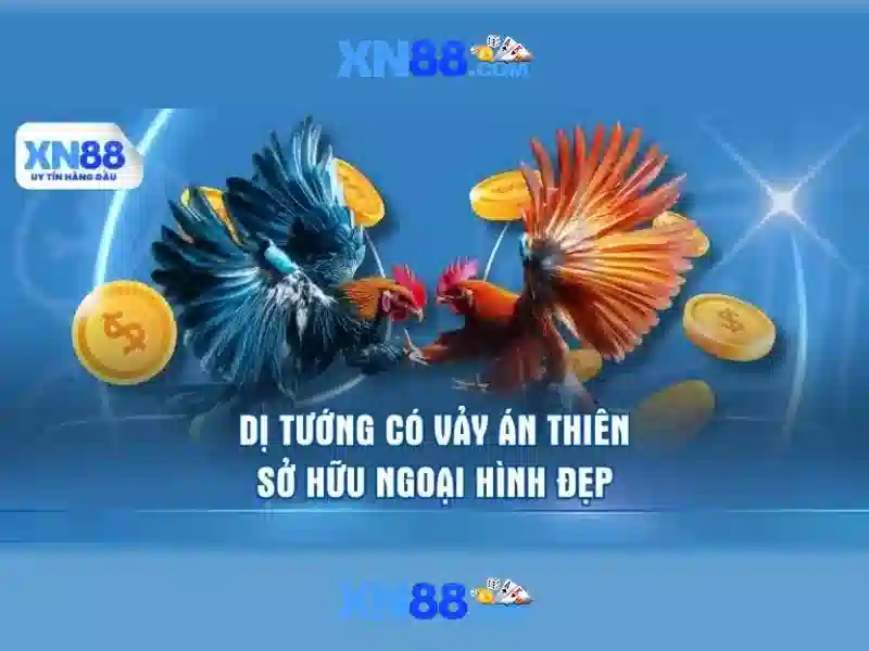 💎ceo 888slot entertainment💎 💎ceo 888slot entertainment💎