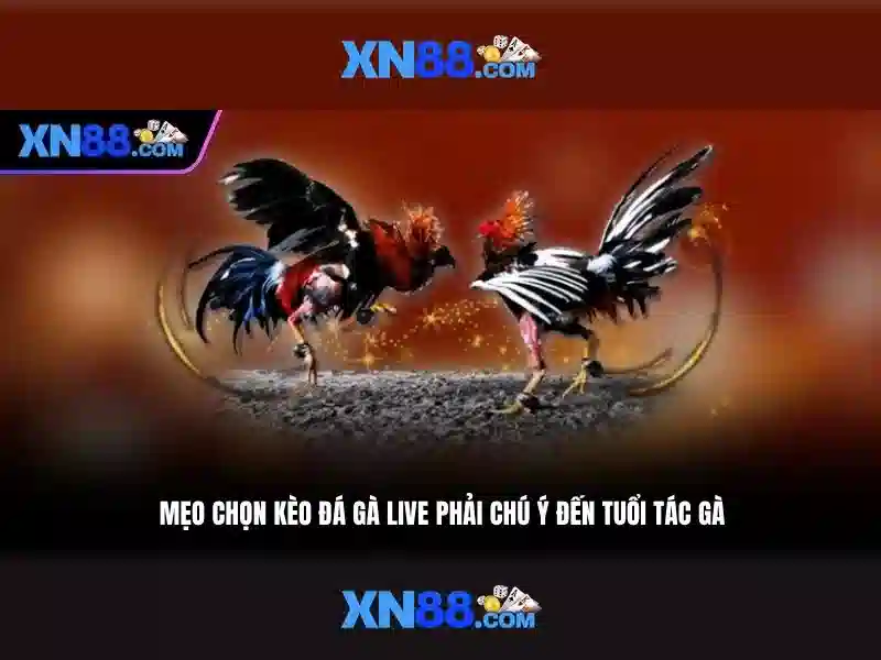 💎slot da bar gioca gratis💎 💎slot da bar gioca gratis💎