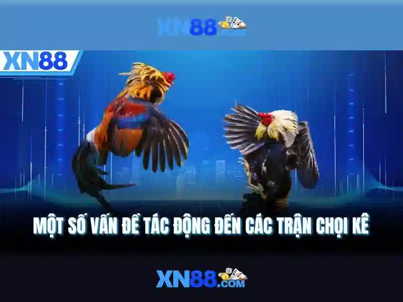 💎hello nha cai💎 💎hello nha cai💎