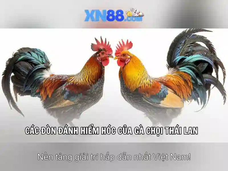 💎hastag xn88 hastag xn88💎 💎hastag xn88 hastag xn88💎