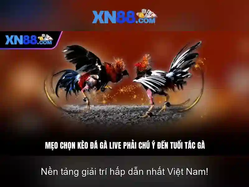 💎nhà thuốc long châu cai lậy💎 💎nhà thuốc long châu cai lậy💎