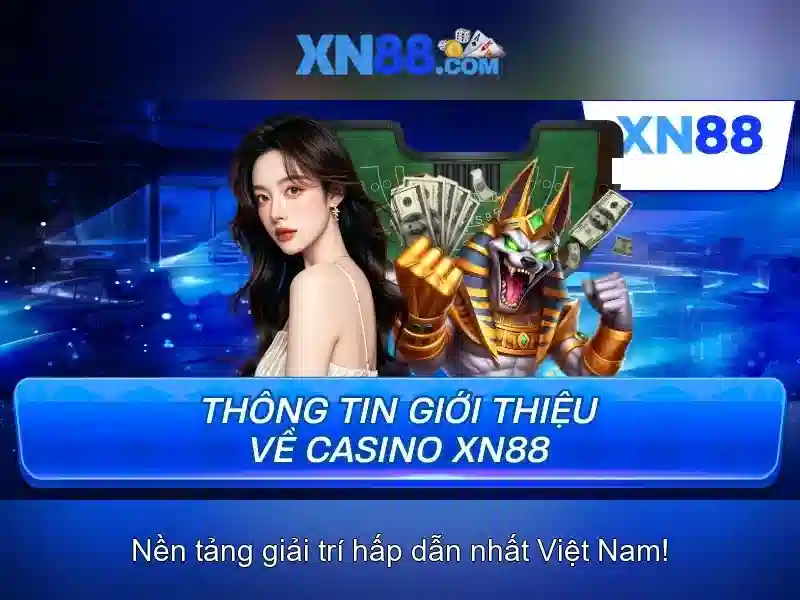 💎trang cá cược bóng đá hợp pháp tại việt nam💎 💎trang cá cược bóng đá hợp pháp tại việt nam💎