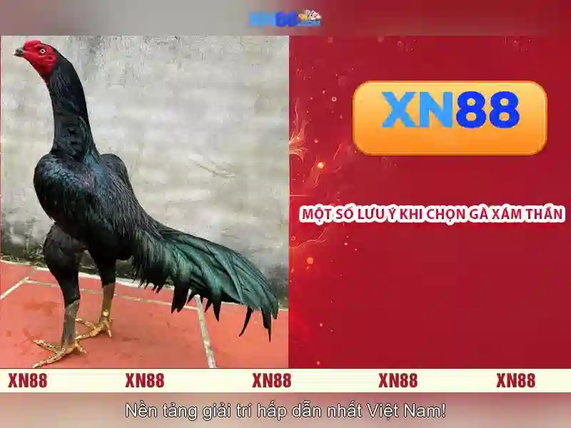 💎slot machine classes💎 💎slot machine classes💎